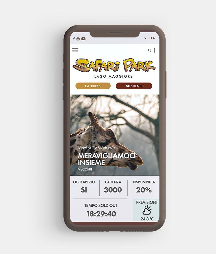 Preview del sito mobile