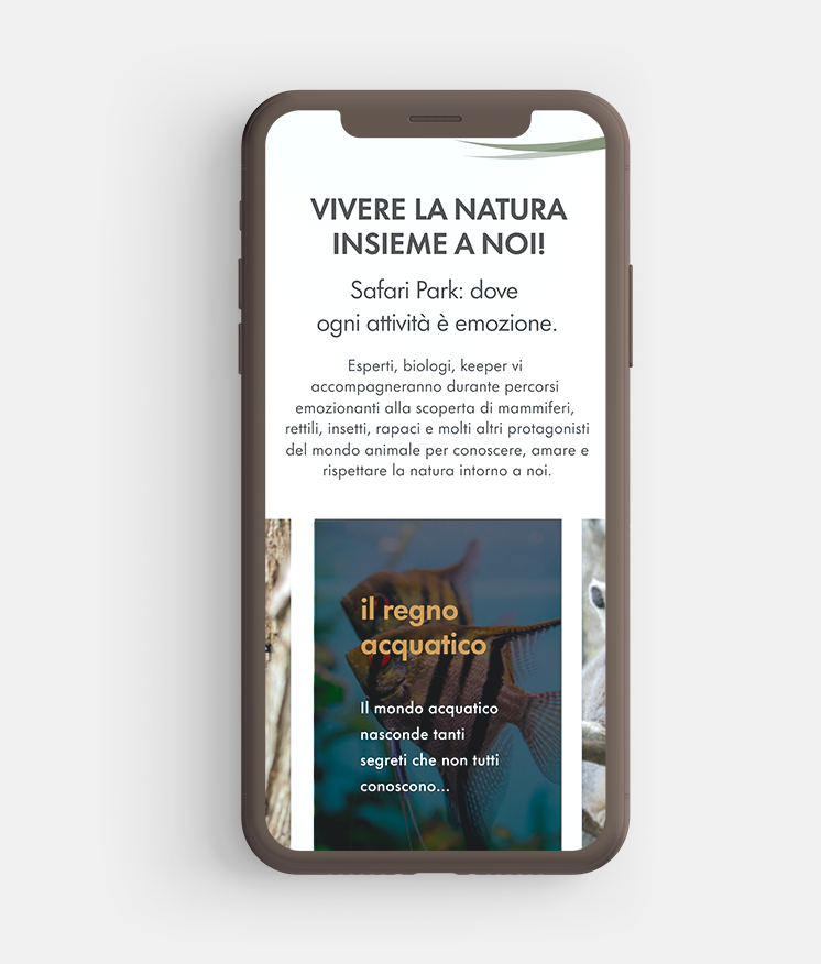 Preview del sito mobile